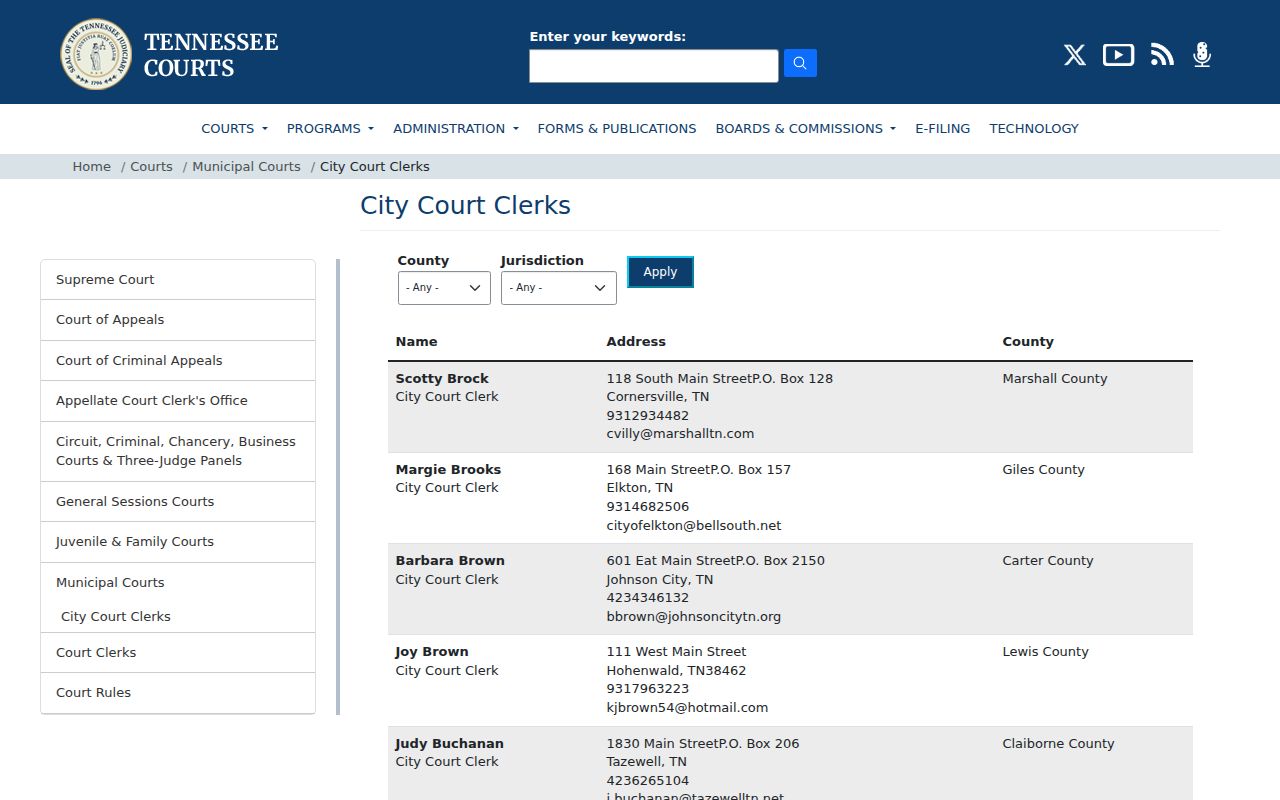 Johnson City criminal records municipal court clerk directory